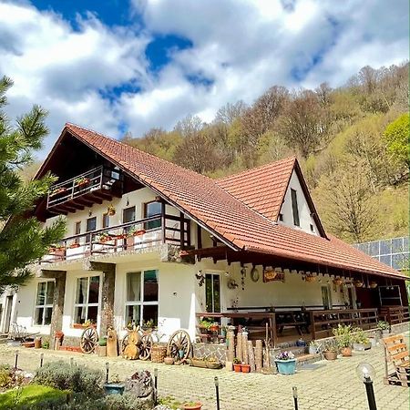 Pensiunea Piatra-Craiului Zarnesti Exterior photo