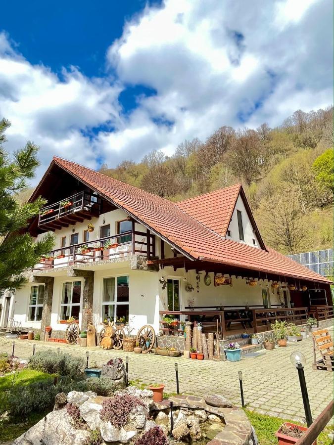 Pensiunea Piatra-Craiului Zarnesti Exterior photo